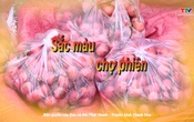 Sắc màu các dân tộc xứ Thanh: Sắc màu chợ phiên