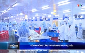 Bản tin Thời sự 9h ngày 14/7/2025