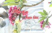 Phóng sự: Một thời hoa lửa