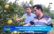 Bản tin Nông nghiệp nông thôn ngày 16/7/2025