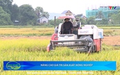 Bản tin Nông nghiệp nông thôn ngày 19/7/2025