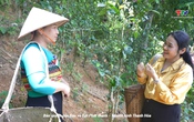 Ký sự miền sơn cước ngày 18/7/2025