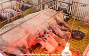 Bản tin Nông nghiệp nông thôn ngày 23/7/2025