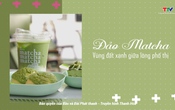 Foodtour Thanh Hóa : Đảo Matcha – Vùng đất xanh giữa lòng phố thị
