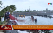Bản tin Thời sự Thanh Hóa ngày mới 26/7/2025