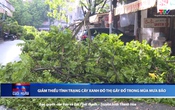 Bản tin Thời sự cuối ngày 29/7/2025