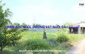 Khuyến nông 29/7/2025