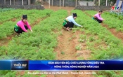 Bản tin Thời sự 14h ngày 3/7/2025