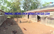 Khuyến nông 4/7/2025