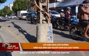 Thanh Hóa ngày mới 12/8/2025