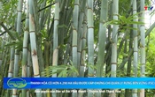 Bản tin Nông nghiệp – Nông thôn 13/8/2025