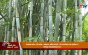 Bản tin Thời sự Thanh Hóa ngày mới 14/8/2025