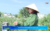 Bản tin Nông nghiệp nông thôn ngày 16/8/2025