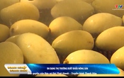 Bản tin Doanh nghiệp – Doanh nhân 17/8/2025