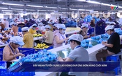Bản tin Tài chính thị trường ngày 18/8/2025
