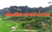 Sắc màu các dân tộc xứ Thanh: Kho Mường, sắc màu bản Thái
