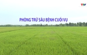 Khuyến nông 26/8/2025