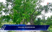 Bản tin Văn hóa ngày 6/8/2025