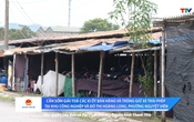 Nhà nước và Pháp luật 7/8/2025