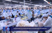 Bản tin Tài chính - Thị trường 8/8/2025