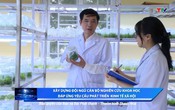 Khoa học và đời sống ngày 8/8/2025