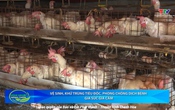 Bản tin Nông nghiệp nông thôn ngày 10/9/2025