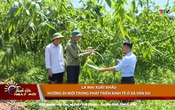 Thanh Hóa ngày mới ngày 12/9/2025