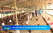 Bản tin Nông nghiệp nông thôn ngày 13/9/2025