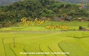 Thanh Hóa - Góc nhìn từ trên cao: Bay trên mùa vàng