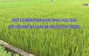 Khuyến nông 2/9/2025