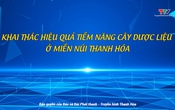 Phóng sự: Khai thác hiệu quả tiềm năng cây dược liệu ở miền núi Thanh Hoá.