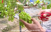 Bản tin Thời sự 16h ngày 21/9/2025