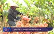 Bản tin Tài chính thị trường ngày 22/9/2025