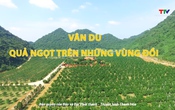 Tạp chí Dân tộc miền núi ngày 7/9/2025