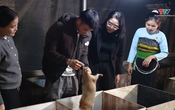 Chuyên mục Dân tộc miền núi: Chàng trai vùng biên khởi nghiệp từ nuôi dúi