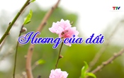 "Ba Đình": Hương – Sắc – Vị (Tập 2): Hương của đất
