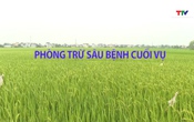 Khuyến nông 21/4/2026