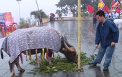 Ký sự: Du lịch tâm linh miền Tây Thanh Hóa - Sức hút từ lễ dâng trâu huyền bí.