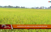 Thanh Hóa ngày mới 13/5/2026
