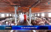 Bản tin Thời sự 9h ngày 13/5/2026