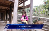 Bản tin Văn hóa ngày 13/5/2026