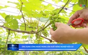Khoa học và Đời sống ngày 15/5/2026