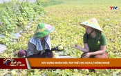 Thanh Hóa ngày mới ngày 17/5/2026