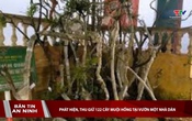 Bản tin An ninh 02/05/2026