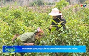 Bản tin Nông nghiệp - Nông thôn ngày 23/5/2026