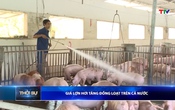 Bản tin Thời sự 16h ngày 22/5/2026