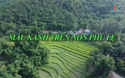 Ký sự miền sơn cước: Màu xanh trên non Phú Lệ