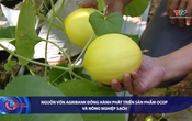 Bản tin Tài chính - Thị trường ngày 29/5/2026