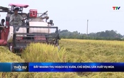 Bản tin Thời sự 14h ngày 31/5/2026