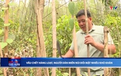 Bản tin Thời sự cuối ngày 7/5/2026